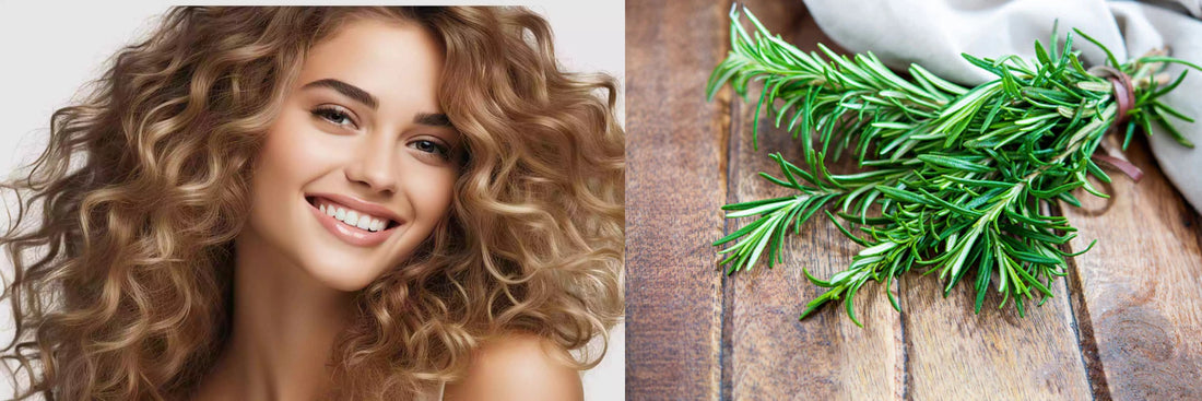 DIY Rosemary Hair Oil vs. Ready-Made Solutions